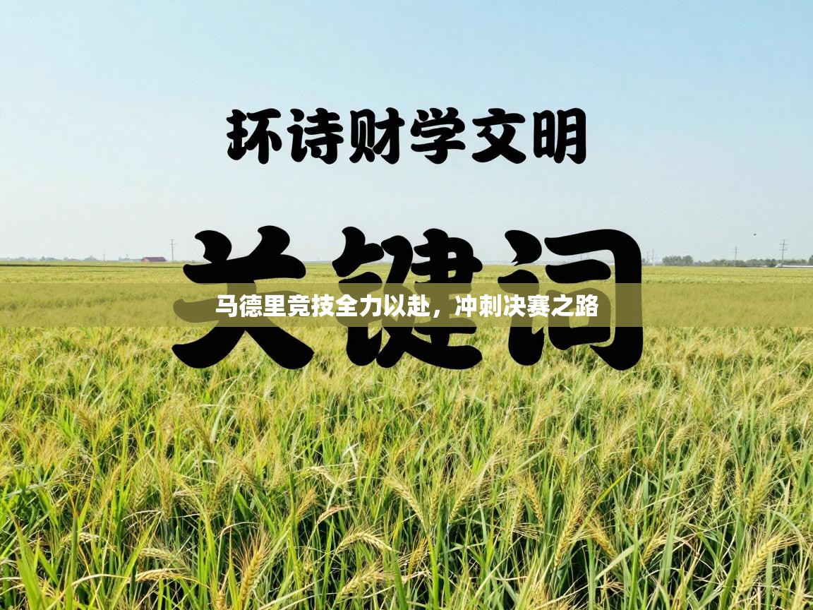 马德里竞技全力以赴，冲刺决赛之路  第2张